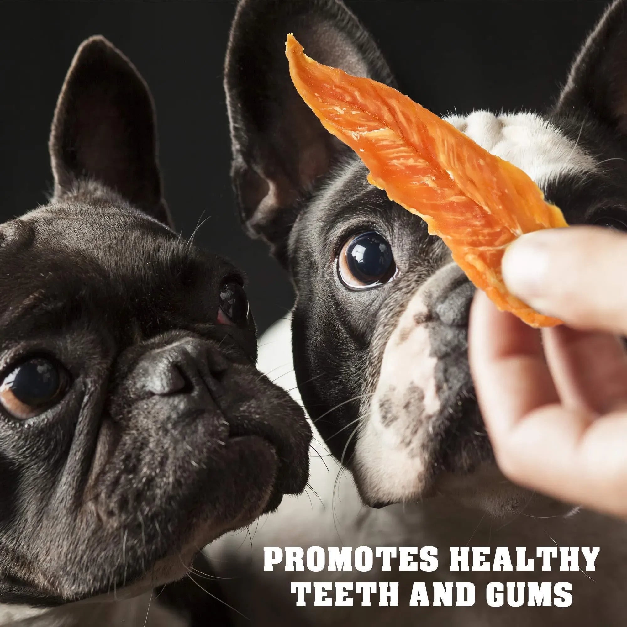 Chicken Jerky Dog Treats Organic