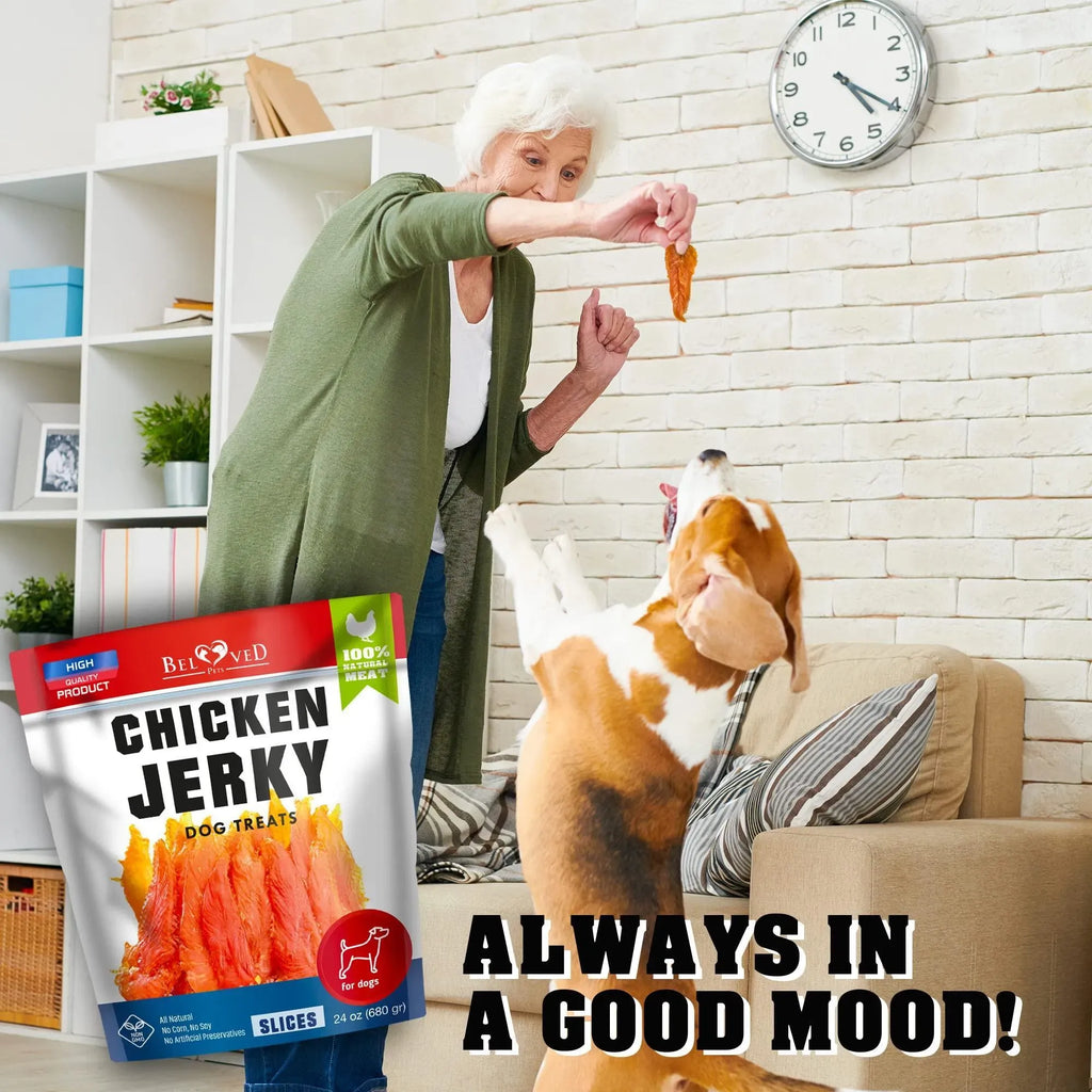 Chicken Jerky Dog Treats Organic