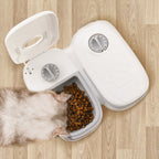 Automatic Pet Feeder with Stainless Steel Bowl