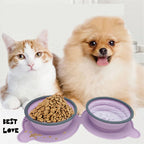 Foldable Double Pet Travel Bowl