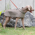 Outdoor Soft Shell Dog Jacket