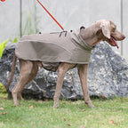 Outdoor Soft Shell Dog Jacket
